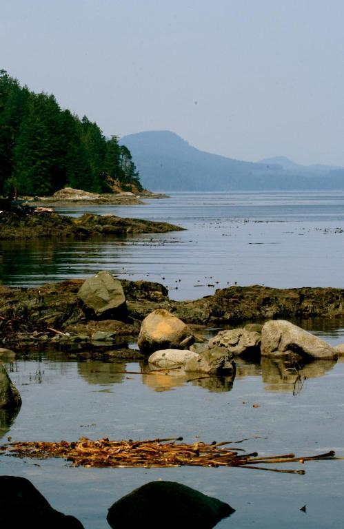 Brown'S Bay Resort Campbell River Værelse billede
